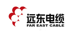 遠東