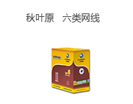 秋葉原 六類網線