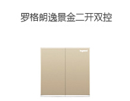 羅格朗 逸景金色 二開雙控