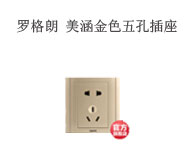 羅格朗 美涵金色 五孔